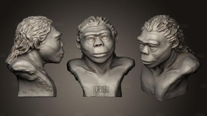 Homo erectus 3d stl модель для ЧПУ